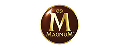 Magnum, SmartWeb